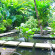 Kumala Pantai Hotel 