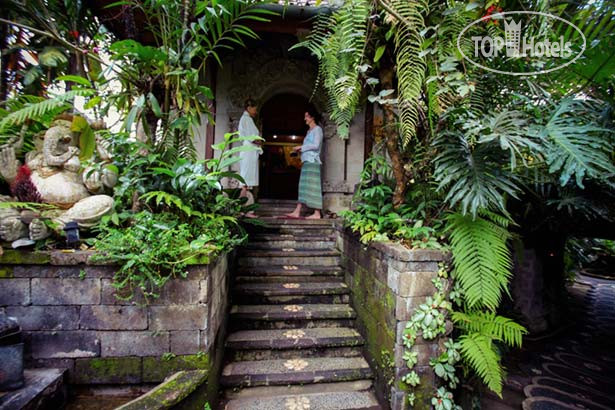 New photos from tourists Kumara Sakti Cottages