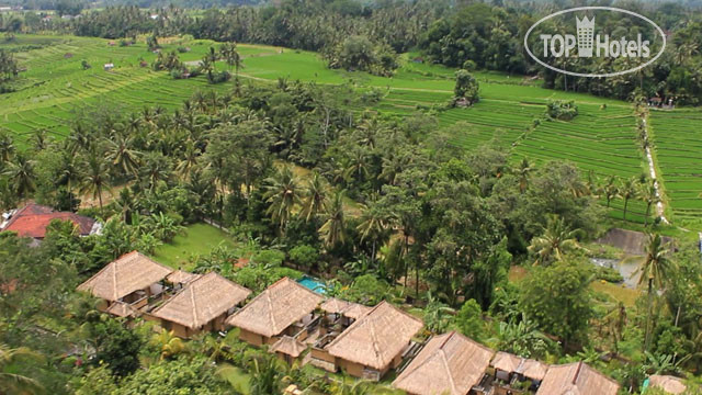 New photos from tourists Puri Taman Sari Hotel 3*