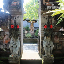 Sadru House Территория отеля