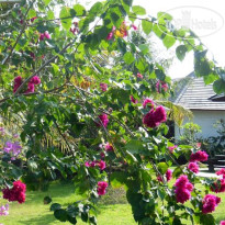 Terang Bulan Cottages Сад