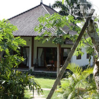 Adi Villa Территория отеля