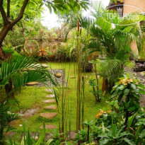 Rumahku Homestay Территория отеля