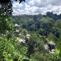 Ubud Hanging Gardens 