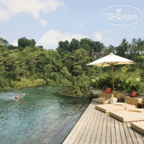 Ubud Hanging Gardens 