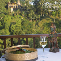 Ubud Hanging Gardens 