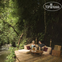 Ubud Hanging Gardens 