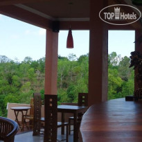 Terrace Ampels Villa 