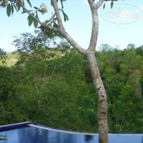 Terrace Ampels Villa 