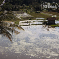 Wahyu Dewata Villas 