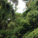 Suastika Bed & Breakfast 