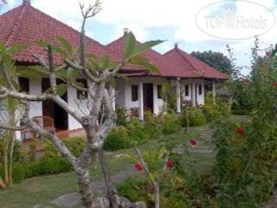Hotel photo Bingin Sari Homestay 
