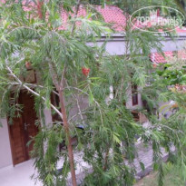 Belong Bunter Homestay 