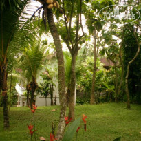Argasoka Bungalows