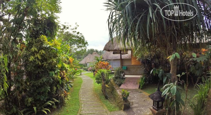 New photos from tourists Villa Bintang Ubud 2*