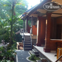 Citrus Tree B&B - Arik 