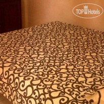 Citrus Tree B&B - Arik 