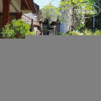 Citrus Tree B&B - Arik 