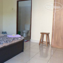 Citrus Tree B&B - Darta 