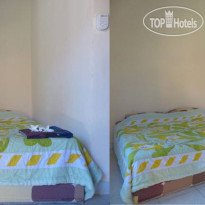 Citrus Tree B&B - Darta 