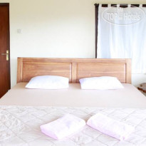 Citrus Tree B&B - Darta 