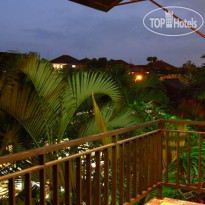 Citrus Tree B&B - Darta 