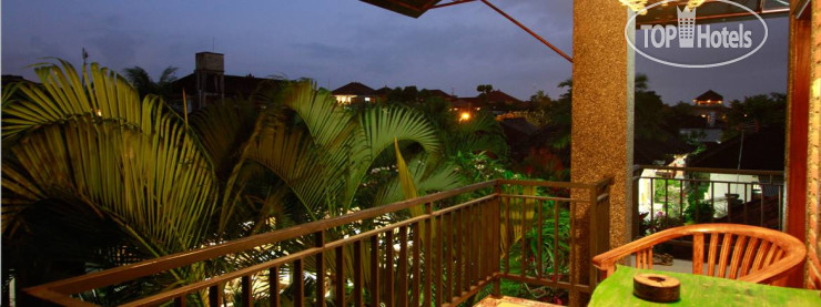 New photos from tourists Citrus Tree B&B - Darta 