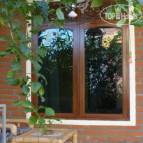 Citrus Tree B&B - Darta 