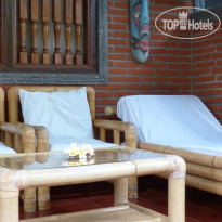 Citrus Tree B&B - Darta 