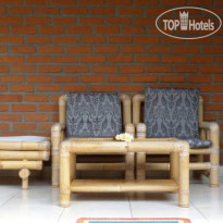 Citrus Tree B&B - Darta 