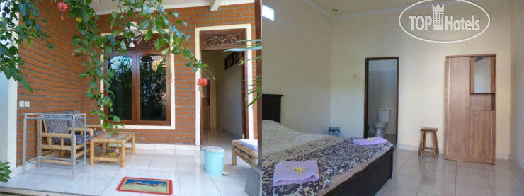 Citrus Tree B&B - Darta