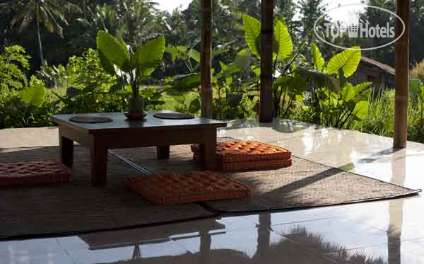 New photos from tourists Ubud Hidden Villa 2*