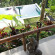Zenubud Villa 