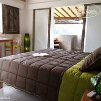 Zenubud Villa 