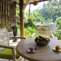 Zenubud Villa 