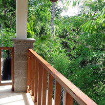 Desak Putu Putra Hidden 