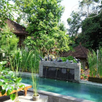 Desak Putu Putra Hidden 