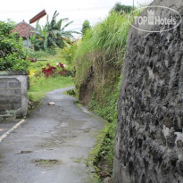 Vera Accommodation Ubud 