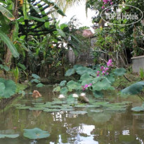 Vera Accommodation Ubud 