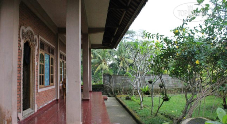 New photos from tourists Vera Accommodation Ubud 1*
