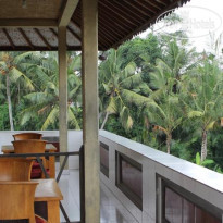 Vera Accommodation Ubud 