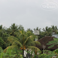 Vera Accommodation Ubud 