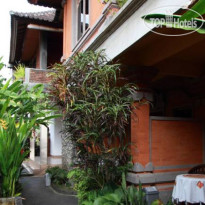 Citrus Tree B&B - Hutama 