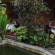 Citrus Tree B&B - Hutama 