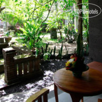 Citrus Tree B&B - Mai Malu