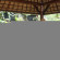 Budi Guesthouse 