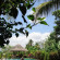 Gayatri Bungalows 