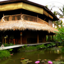 Dragonfly Village