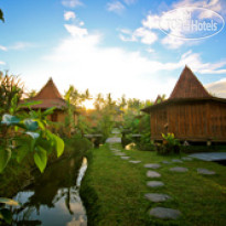 Dragonfly Village