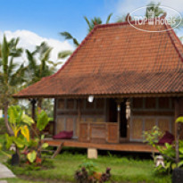 Dragonfly Village